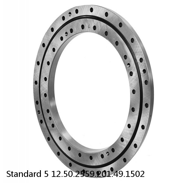 12.50.2559.201.49.1502 Standard 5 Slewing Ring Bearings