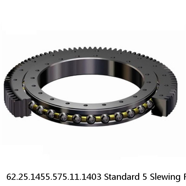 62.25.1455.575.11.1403 Standard 5 Slewing Ring Bearings #1 small image