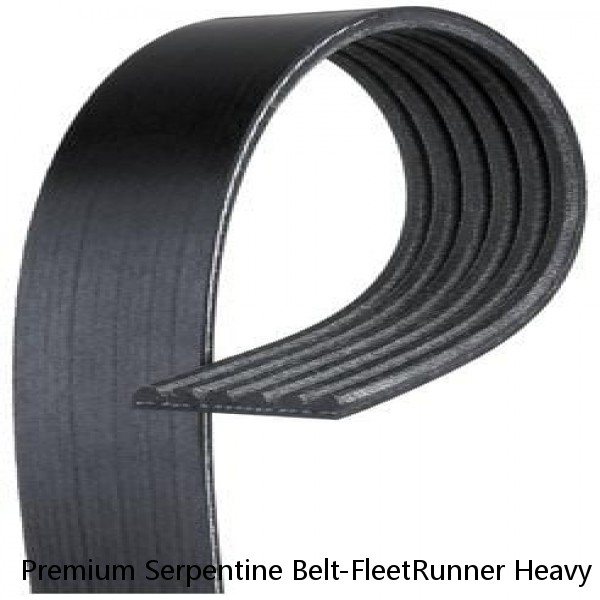 Premium Serpentine Belt-FleetRunner Heavy Duty Micro-V Belt Gates K061025HD #1 small image