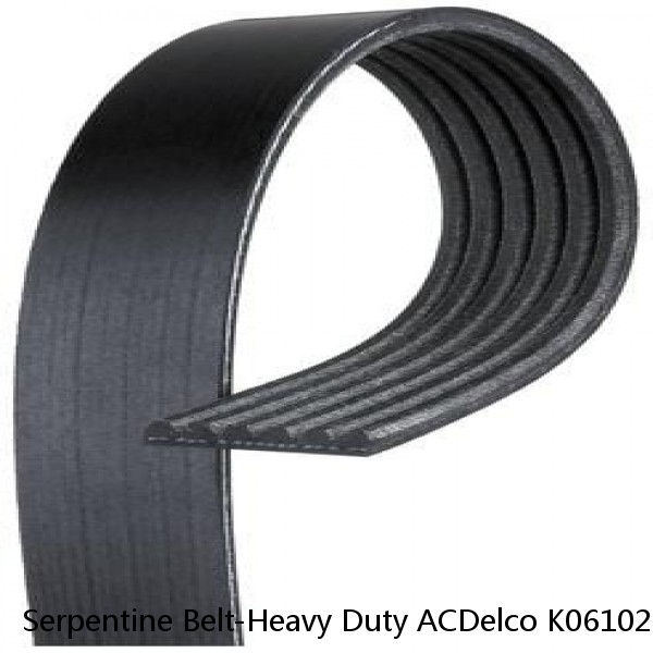 Serpentine Belt-Heavy Duty ACDelco K061025HD #1 small image