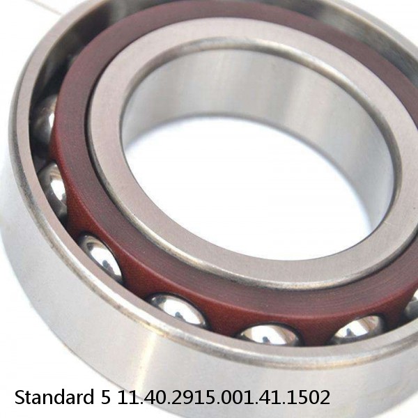 11.40.2915.001.41.1502 Standard 5 Slewing Ring Bearings #1 image