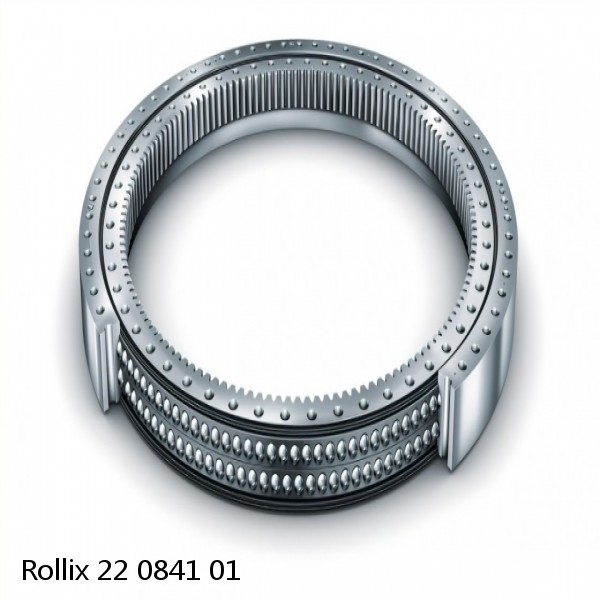 22 0841 01 Rollix Slewing Ring Bearings #1 image