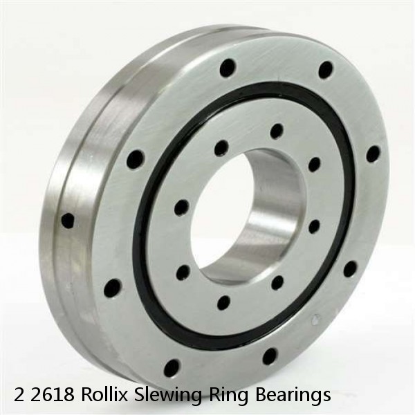 2 2618 Rollix Slewing Ring Bearings #1 image