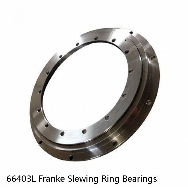 66403L Franke Slewing Ring Bearings #1 image