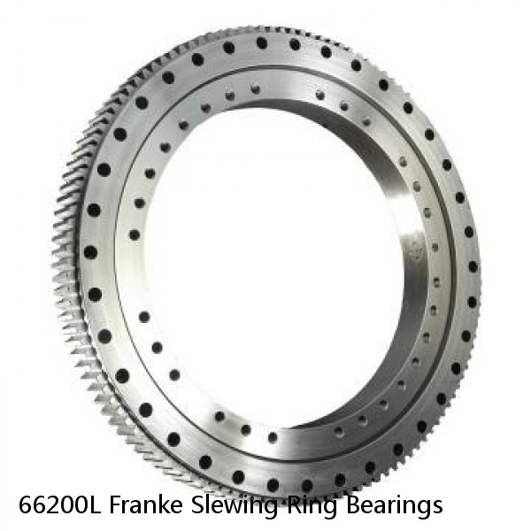66200L Franke Slewing Ring Bearings #1 image