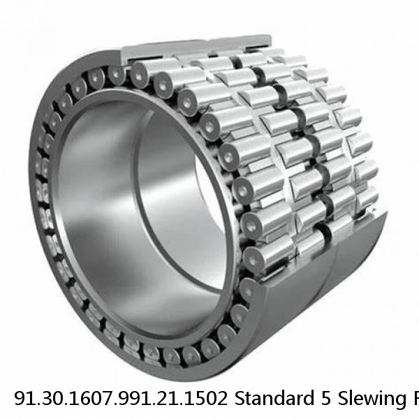 91.30.1607.991.21.1502 Standard 5 Slewing Ring Bearings #1 image