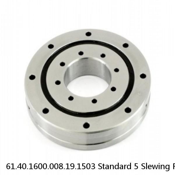 61.40.1600.008.19.1503 Standard 5 Slewing Ring Bearings #1 image