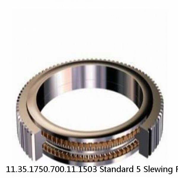 11.35.1750.700.11.1503 Standard 5 Slewing Ring Bearings #1 image