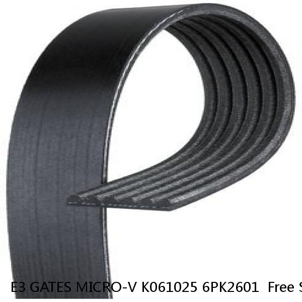 E3 GATES MICRO-V K061025 6PK2601  Free Shipping #1 image